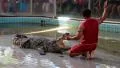 People at extreme crocodile show in Pattaya, Thailand HD Footage