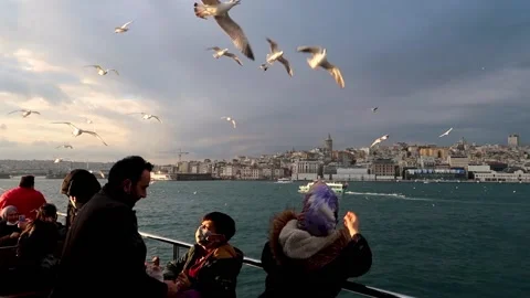 People feeding pigeons in the public transportation ferry in Istanbul Stock Footage