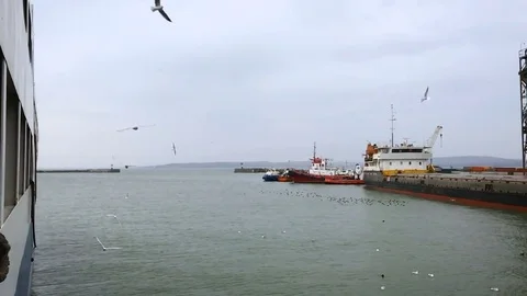 People on the ferry feed the gulls hovering in the air. Slow motion Stock Footage 84161095