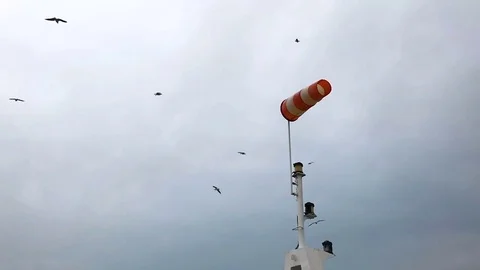 People on the ferry feed the gulls hovering in the air. Slow motion Stock Footage 84161340