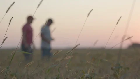 People in Field Vidéo 128766190