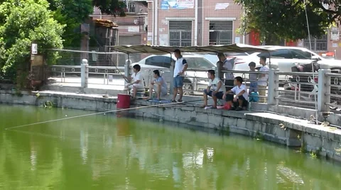 People fishing in the pond Stock Footage 65760341