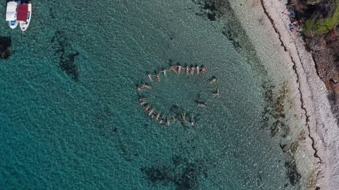 People floating in a circle holding hands on a turqouise sea near a pine tree Stock Footage 120748163