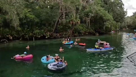 People floating down the spring in Blue Springs State Park in Florida. Stock Footage 205227356