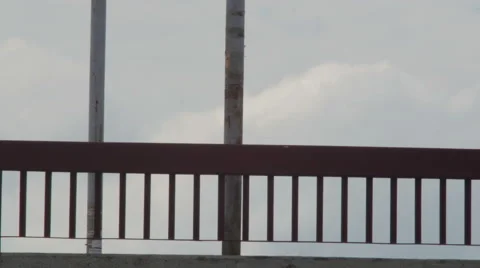 People Video stock 41515351