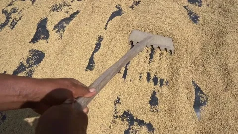 People Stock Footage 221879149