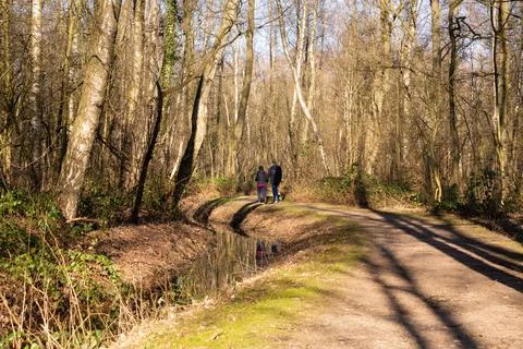 People in forest 写真素材