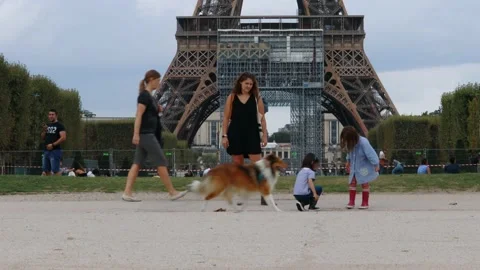 PEOPLE IN FRONT OF EIFFEL TOWER Stock Footage 162019152