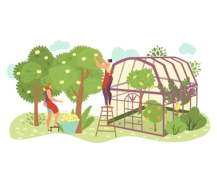 People in garden, organic farming flat vector illustration with people gardeners Stock Illustration