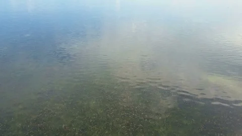 People Gathering Sea Shells at Shallow Water. Aerial View Stock Footage 76688281