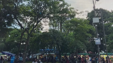 People Gathering in Tree Lined Public Park Surrounded by Urban Buildings Vídeo Stock 340939318