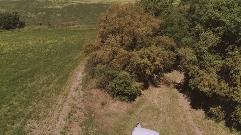 People get in a white van on dirt road Stock-Footage 78086558