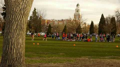 People getting exercise playing flag football in the park. Adult sports. Vidéo 30596707