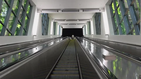 People go up on the escalator Stock Footage 340124651