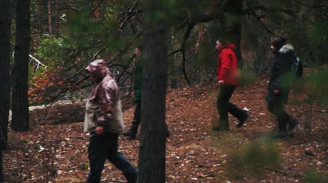 People go Into the Woods 스톡 동영상 60995863