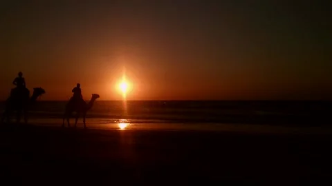 People going from the beach with their camels at sunset Stock Footage 148616909