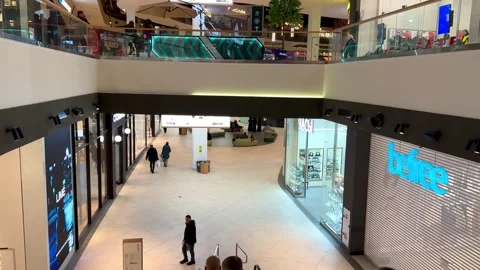 People going down an escalator in a shopping center Vidéo 255903076