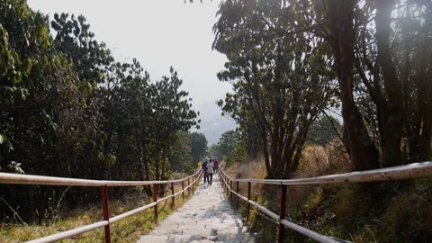 People going down the trekking trail in nature Stock Footage 247118408