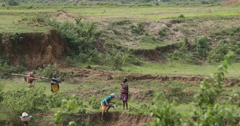 People going to Field work | Stock Video | Pond5