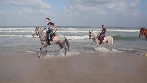 People going on horseback on the beach Stock Footage 148626023