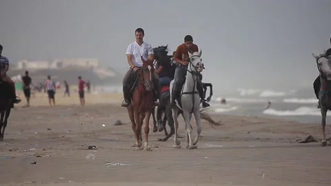 People going on horseback on the beach Stock Footage 148626107