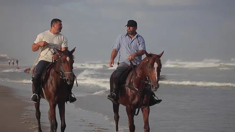 People going on horseback on the beach Stock Footage 148626351