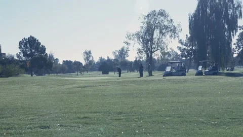 People Golfing Stock Footage 169260102