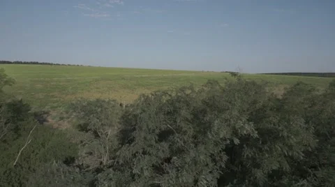 People in the green field. Stock Footage 62559784
