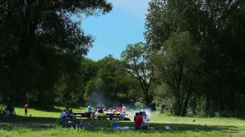 People grilling outside Stock Footage 22241913