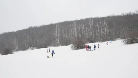 People group sledging sledge winter hill snow Stock Footage 147559520