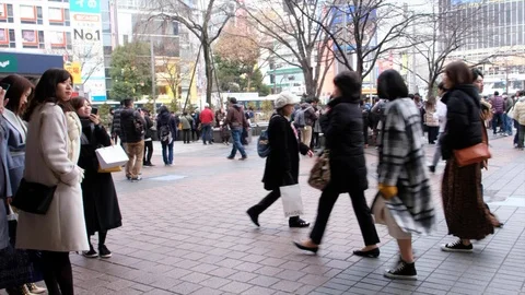 People In Hachiko Square Stock Footage 103057409