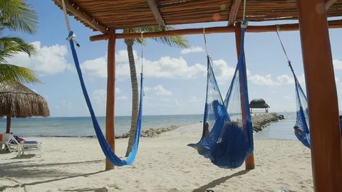People on Hammocks Stock Footage 83876871