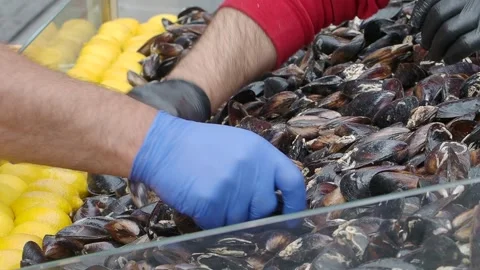 People handling shellfish at a market with fresh lemons in a display Stock Footage 346738631