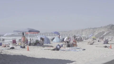 People Hanging Out at the Beach 스톡 동영상 83608141