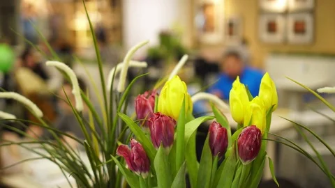 People have dinner in decorated room Stock Footage 73628548