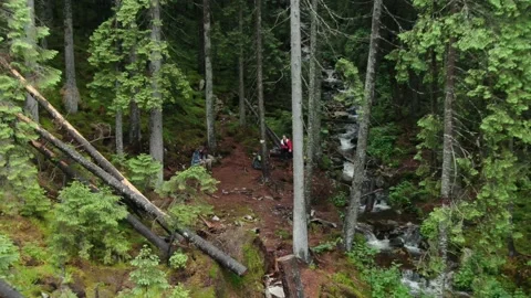 People have lunch at a mountain spring in the woods. Carpathian mountains. Go Stock Footage 168485322