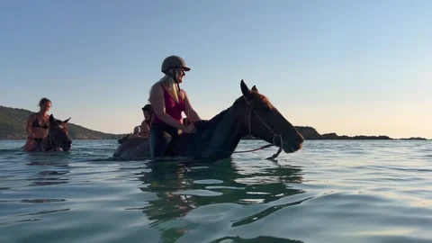 People having fun bathing and bareback riding horse in sea water at sunset Stock Footage 280889867