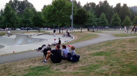 People having fun in the park Video stock 54648521