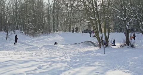 People having fun sledding down a snowy hill in a winter park Video stock 327417905