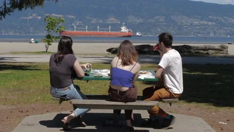 People having lunch at the picnic table on seaside. Vidéo 154189525