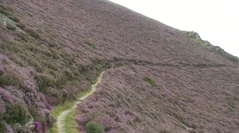 People Hiking 2 Stock Footage 11756578