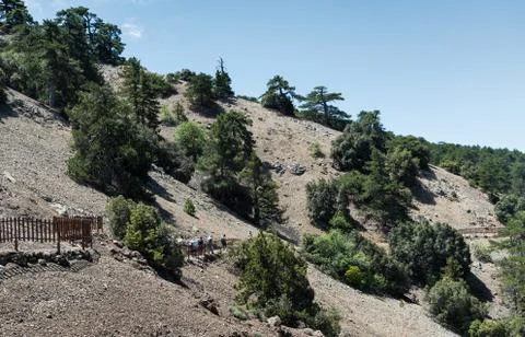 People hiking on a  nature trail Stockfoto's