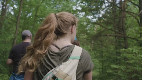 People hiking through the forest Stock Footage 137531149