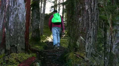 People hiking on a trail Stock Footage 49838449
