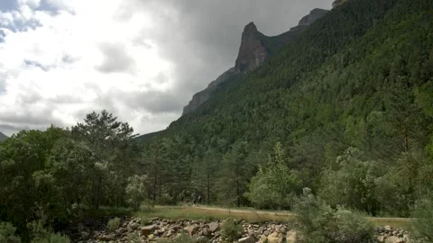 People hiking on a trail surrounded by trees in the forest and beautiful Stock-Footage 290263376