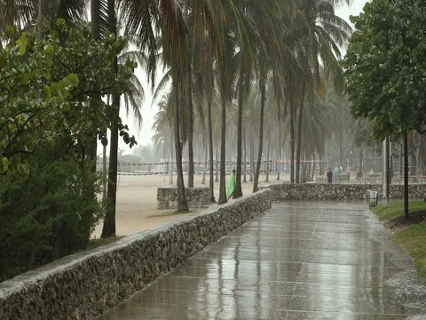 People hurry to get out of a tropical rain storm Stock Footage