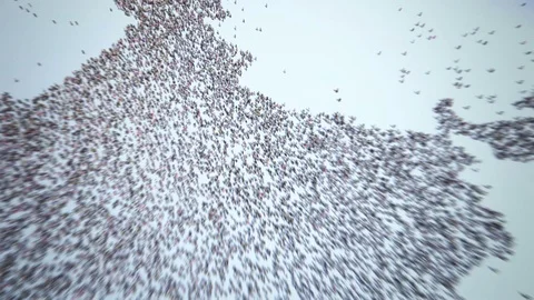 People of India Stock Footage 73437306