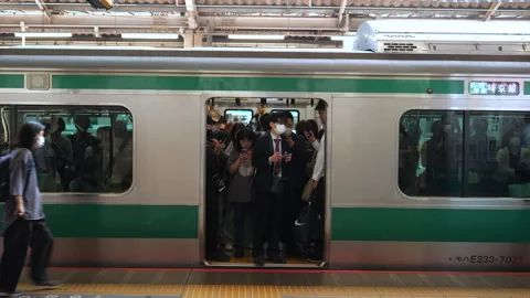 People inside train waiting for door to close. Tokyo, Japan. Stock Footage 248904118