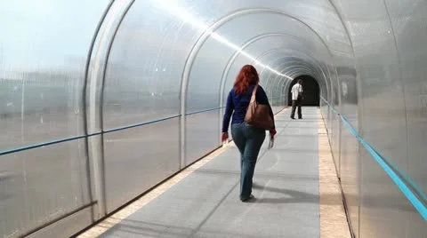 People inside tunnel Video stock 12535249