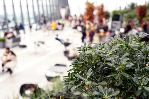 People inside viewing the free Sky Garden cafe on the 35th floor of 20 Fenchu Stock Photos